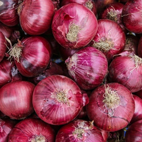 Onion